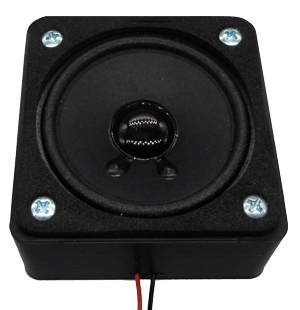 Beier Large Speaker Box for LS-R-15W-67