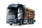 1/14 RC Volvo FH16 Globetrotter 750, 6X4 Timber Truck Kit